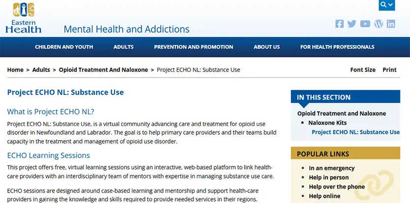 NEWFOUNDLAND AND LABRADOR CENTRE ON SUBSTANCE USE (NLCSU) Image